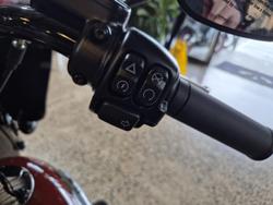 2024 Harley-Davidson
Heritage Classic 114 (FLHCS)