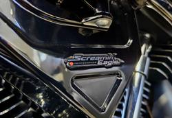 2025 Harley-Davidson Road Glide 117 (FLTRX) Touring Black