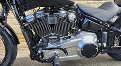 2025 Harley-Davidson Street Bob 117 (FXBB) Softail Black