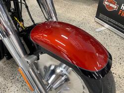 2025 Harley-Davidson Fat Boy 117 (FLFB) Softail