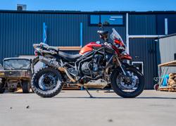 Triumph Tiger Explorer