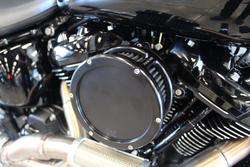2025 Harley-davidson FLFB FAT BOY S (117) VIVID BLACK