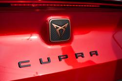 2024 CUPRA
                Formentor VZe