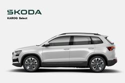 2025 SKODA
                Karoq 110TSI Select