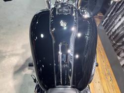 2025 Harley-davidson FXBR BREAKOUT (117) Vivid Black