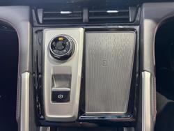 2024 LDV
                T60 Max PLUS