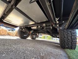 2025 Royal Flair Aussiemate