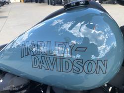 HARLEY-DAVIDSON LOW RIDER S 117 (FXLRS) ROAD SOFTAIL Skark Skin Blue
