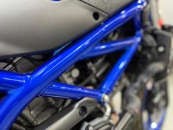 2025 Suzuki SV650 LAMS ABS (SV650UA) SV Blue