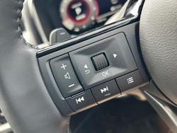 2024 Nissan
                X-TRAIL N-TREK