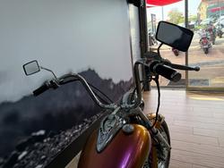 2001 Yamaha XVS650A V-STAR CLASSIC CHAMELEON
