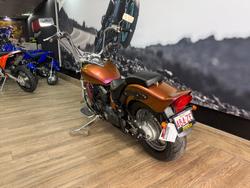 2001 Yamaha XVS650A V-STAR CLASSIC CHAMELEON