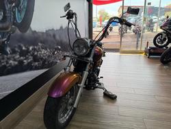 2001 Yamaha XVS650A V-STAR CLASSIC CHAMELEON