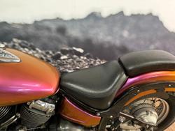 2001 Yamaha XVS650A V-STAR CLASSIC CHAMELEON