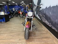 2001 Yamaha XVS650A V-STAR CLASSIC CHAMELEON