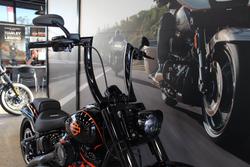 2025 Harley-davidson FXBR BREAKOUT (117) billiard gray