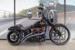 2025 Harley-davidson FXBR BREAKOUT (117) billiard gray