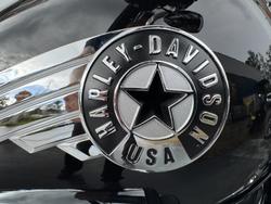 2025 Harley-davidson FLFBS FAT BOY S (114) Vivid Black