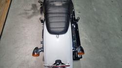 2020 Harley-davidson FXLR LOW RIDER (107) White