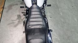 2020 Harley-davidson FXLR LOW RIDER (107) White