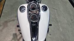 2020 Harley-davidson FXLR LOW RIDER (107) White