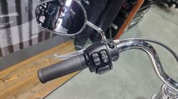 2020 Harley-davidson FXLR LOW RIDER (107) White