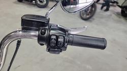 2020 Harley-davidson FXLR LOW RIDER (107) White