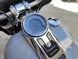 2024 HARLEY-DAVIDSON SPORT GLIDE 107 (FLSB) ROAD GREY