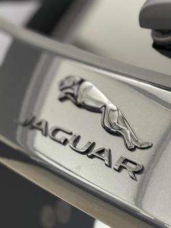 2024 Jaguar
                E-PACE P250 R-Dynamic SE