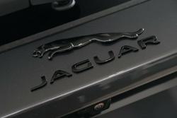 2024 Jaguar E-PACE P250 R-Dynamic SE X540 MY24.75 AWD Carpathian Grey