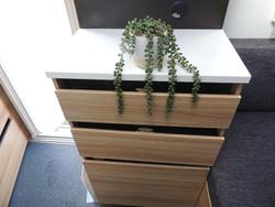 2024 Adria Action 361 Lt