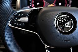 2024 SKODA Kodiaq RS