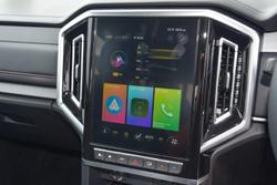 2024 JAC T9 Oasis 4X4 On Demand Salt Bush