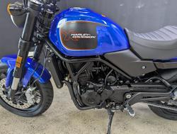 2025 Harley-Davidson X 500 X Blue
