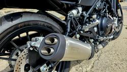 2024 Harley-Davidson X 500 X Black