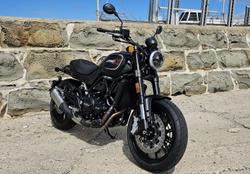 2024 Harley-Davidson X 500 X Black