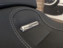 2025 Harley-Davidson Breakout 117 (FXBR) Softail