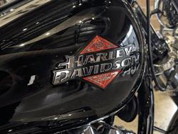 2025 Harley-Davidson Breakout 117 (FXBR) Softail