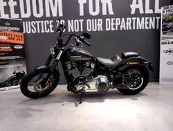 2025 Harley-Davidson Street Bob 117 (FXBB) Softail