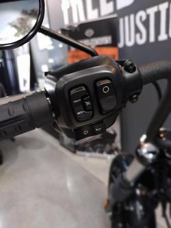 2025 Harley-Davidson Street Bob 117 (FXBB) Softail