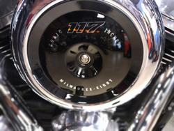 2025 Harley-Davidson Street Bob 117 (FXBB) Softail