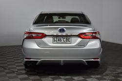 2019 Toyota
Camry Ascent Sport