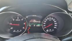 2019 Kia
                Carnival Platinum