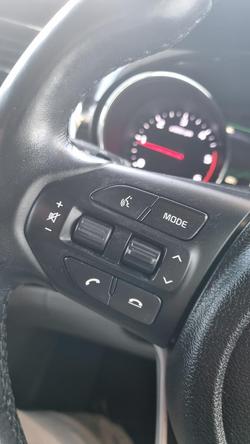 2019 Kia
                Carnival Platinum