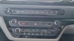 2019 Kia
                Carnival Platinum