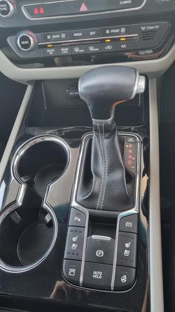 2019 Kia
                Carnival Platinum