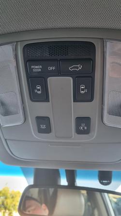 2019 Kia
                Carnival Platinum