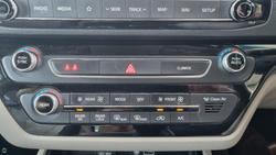 2019 Kia
                Carnival Platinum