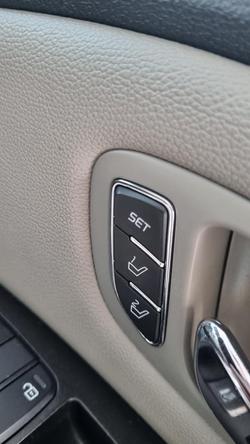 2019 Kia
                Carnival Platinum