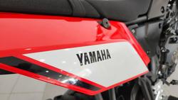 2020 Yamaha Tenere 700 (XTZ690) Tenere White